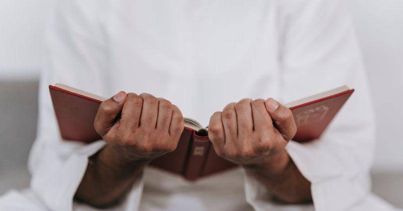 Pexels/Michael Burrows